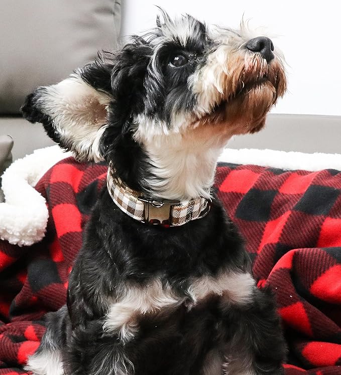 Unique style paws Dog Collar Metal Buckle Gift for Small Medium Large Boys Girls Dogs, brown plaid, XL
