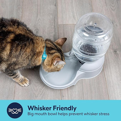 Aspen Pet Lebistro Cat and Dog Water Dispenser, Made in USA