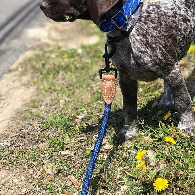 Mile High Life Rope Leash with Genuine Leather Connection, 6 FT/5 FT/4 FT, Heavy Duty Leash for Medium & Large Dogs (Blue, 72 Inch)