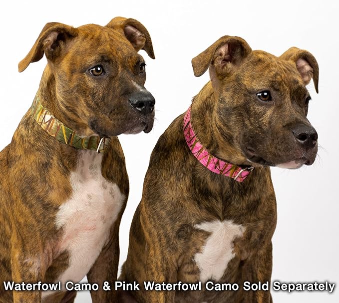 Country Brook Petz - Waterfowl Camo Martingale Dog Collar and Leash - Camouflage Collection Featuring Rugged Designs (1/2 Inch, Extra Small)