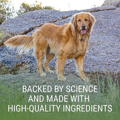 Nutramax Laboratories Denosyl for Dogs, Liver and Brain Health Supplement for Large Dogs, with S-adenosylmethionine (SAMe), Stabilized Tablets, 30 Count