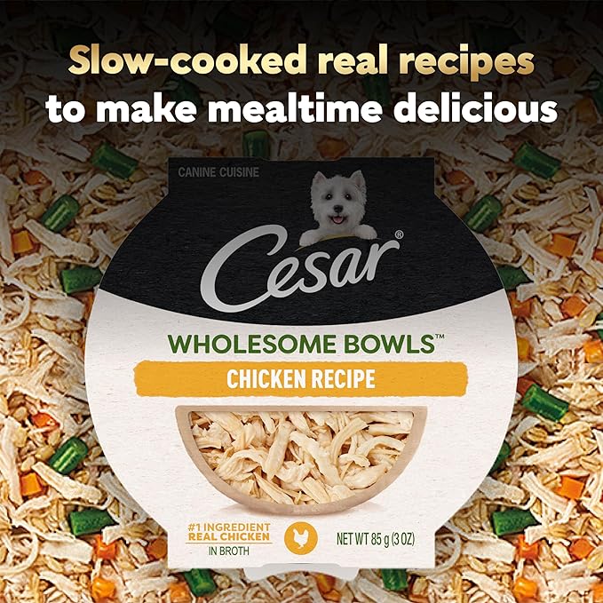 Cesar Wholesome Bowls Adult Wet Dog Food, Chicken, Recipe, Wet Food for Dogs, 3 Oz. Bowls, 10 Count