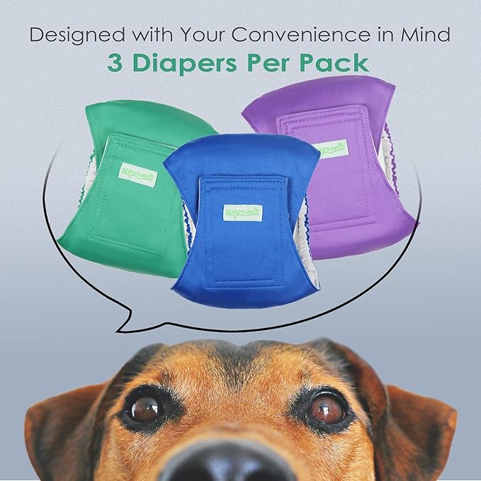 Wegreeco Washable Dog Diapers - Washable Male Dog Belly Wrap- Pack of 3 - (Blue,Green,Purple,Large)