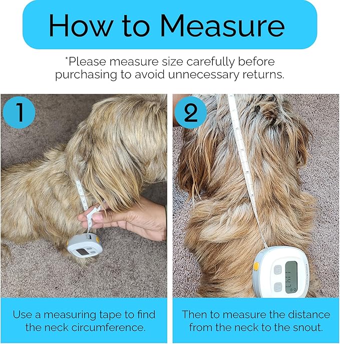 Soft Small Dog/Puppy/Cat Cone | Cute Bumblebee Cone for Small Dogs, Puppies & Cats After Surgery, Wound Care, Spay & Neuter | Dog Recovery Collar | 100% Polyester (Medium)