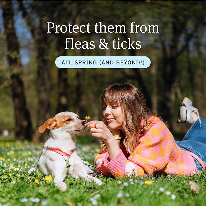 PetArmor Plus Flea and Tick Prevention for Dogs, Small Dog Flea and Tick Treatment, 12 Doses, Waterproof Topical, Fast Acting (5-22 lbs)