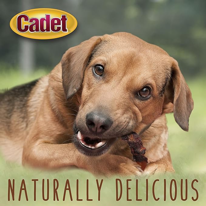 Cadet Gourmet Sweet Potato & Duck Wraps Limited-Ingredient Dog Chews, Healthy and Natural Training Treats for Small and Large Dogs, 14 oz
