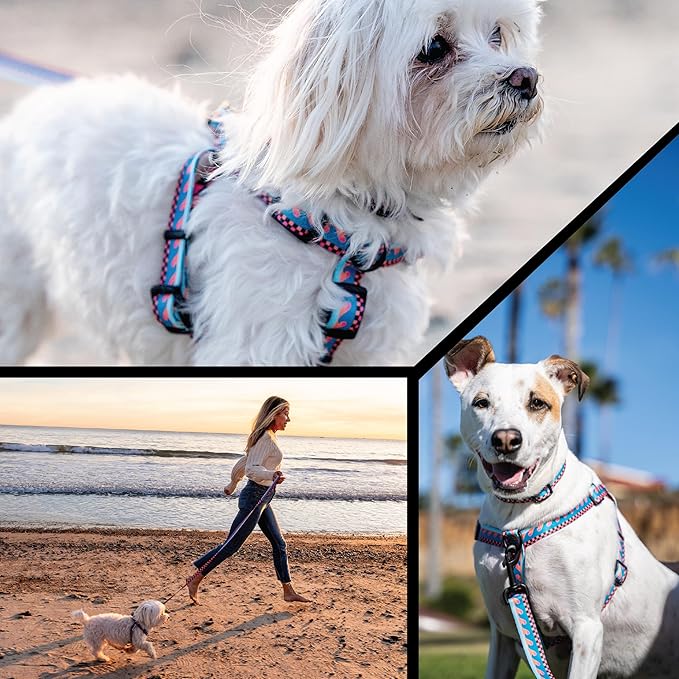 Wolfgang Heavy Duty Adjustable Dog Harness, Pull-Tested for Walking & Training, BuenaOnda Print, Medium