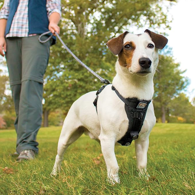 Kurgo Tru-Fit Smart Dog Walking Harness - Comfortable Fit - Adjustable Harness - Reflective Pet Wear - Quick Strap Release - Daily Walk Accessory - Includes Seat Belt Loop - Black - Large