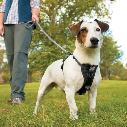 Kurgo Tru-Fit Smart Dog Walking Harness - Comfortable Fit - Adjustable Harness - Reflective Pet Wear - Quick Strap Release - Daily Walk Accessory - Includes Seat Belt Loop - Black - Large