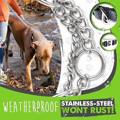Mighty Paw Martingale Dog Collar 2.0 | Trainer Approved Limited Slip Collar with Stainless Steel Chain & Heavy Duty Buckle - Modified Cinch Collar for Gentle & Effective Pet Training - Medium, Grey