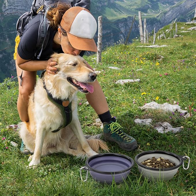 Dog Bowl Large Pet Collapsible Bowls, 2 Pack Collapsible Dog Water Bowls for Cats Dogs Portable Pet Feeding Water Dish for Walking Parking Traveling with 2 Carabiners (Large, Purple & Concrete Gray)