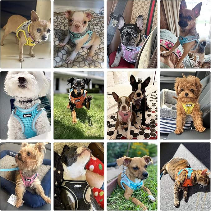 AIITLE Dog Harness, No-Pull Cat Harness with a Leash, Adjustable Reflective Dog Vest, Cat Harness Escape Proof, Outdoor Walking, Running,Training for Extra Small Dogs and House Cats Yellow XXXS