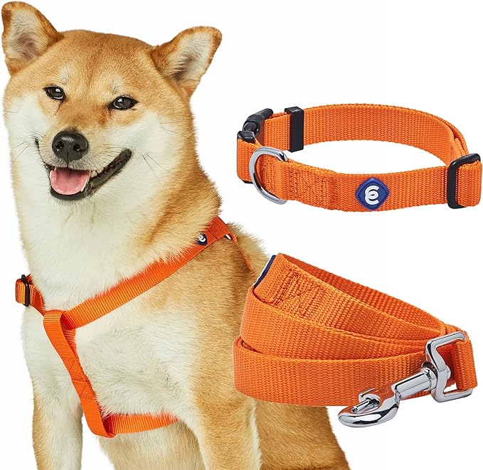 Blueberry Pet Essentials Matching Dog Collar Leash Harness Set in Orange Vermilion, Adjustable Classic Solid Color Nylon Collar with Harness & 5 ft Leash for Small Dogs