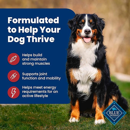 Blue Buffalo Life Protection Formula, Adult Dry Dog Food, Made with Natural Ingredients, Beef & Brown Rice, 40lb Bag