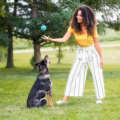 Nutrish Dish Premium Natural Dry Dog Food, Chicken & Brown Rice Recipe with Veggies & Fruit (Rachael Ray), 3.75 Pound Bag