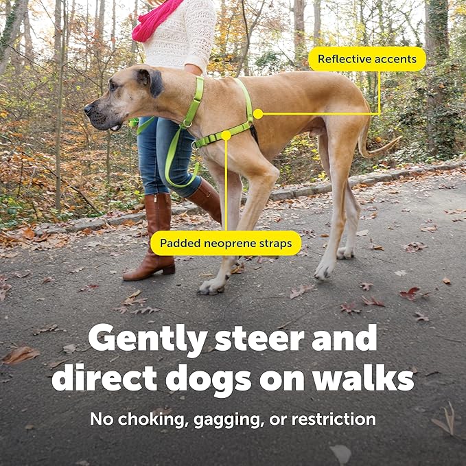 PetSafe Easy Walk Deluxe Dog Harness, No Pull Dog Harness – Perfect for Leash & Harness Training – Stops Pets from Pulling and Choking on Walks – Medium, Apple