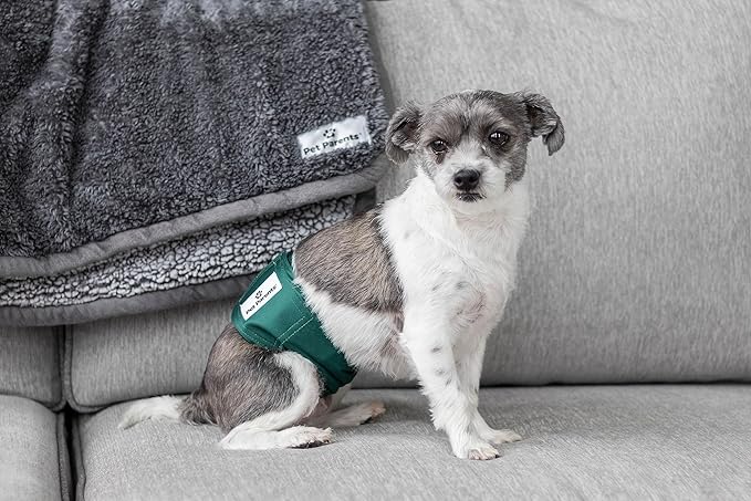Pet Parents® Washable Belly Bands for Male Dogs (3pack) + Extendrs® of Durable Dog Diapers Male, Premium Male Dog Diapers & Dog Wraps (Large, Spruce)