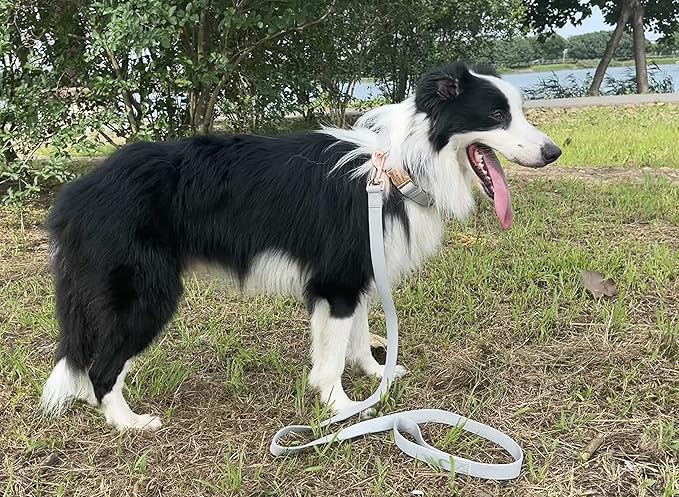 Dog Collar and Leash Set.Soft and Easy to Clean Vegan Leather with Rose Gold Metal Buckle for Small Medium Large Dogs (Grey, M(13.8"-19.7"))