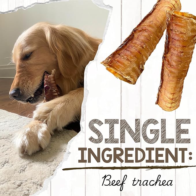 Nature Gnaws Beef Trachea Chews for Dogs 6" (6 Count) - Long Lasting Natural Crunchy Dog Chew Bones - Rawhide Free
