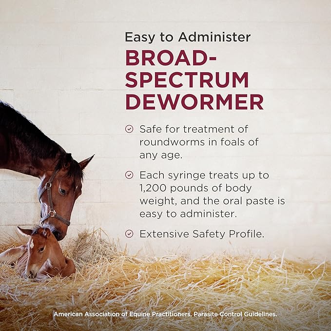 Strongid Paste (pyrantel pamoate) Dewormer for Horses, Broad-Spectrum Parasite Control, 20 mL Syringe