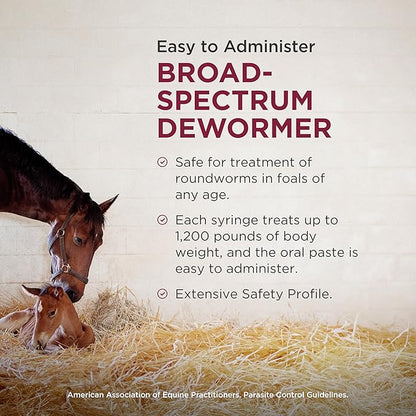 Strongid Paste (pyrantel pamoate) Dewormer for Horses, Broad-Spectrum Parasite Control, 20 mL Syringe