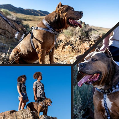 Wolfgang Heavy Duty Adjustable Dog Harness, Pull-Tested to Over 800 lbs for Walking & Training, WolfMountain Print, Large