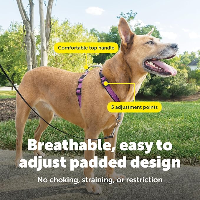 PetSafe 3-in-1 Harness - Comfortable Easy-Walk Dog Chest Harness with Front Leash Attachment to Reduce Pulling, Choking & Gagging - Dog Obedience Gear - Medium - Plum