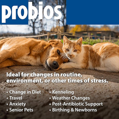 Probios Digestive Support Probiotic for All Species, Probiotics for Gut Health, Dispersible Powder, 240 gm (Pack of 2)