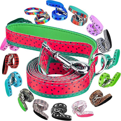 EcoBark Dog Leash - Soft & Reflective Comfort Leash with Padded Handle - Safe, Strong, & Durable for Small, Medium or Large Dogs (Watermelon)