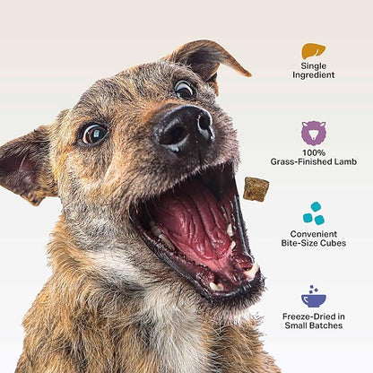 FOUR LEAF ROVER Lamb Dog Treats - Grass Finished New Zealand Lamb Liver - Raw Freeze Dried Single Ingredient, No Additives - Made in USA - 4 Oz Bag