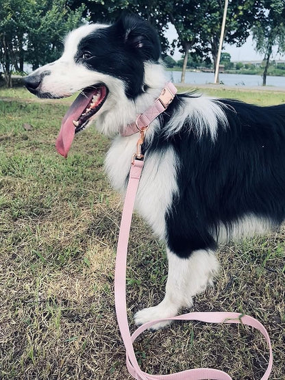 Dog Collar and Leash Set.Soft and Easy to Clean Vegan Leather with Rose Gold Metal Buckle for Small Medium Large Dogs (Pink, L(15.4”-24.8“)