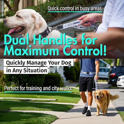 Hands Free Dog Leash with Waist Belt Lifetime Replacement, Dual Handle Bungee Leash for Running, Jogging, Hiking and Walking, for Medium and Large Dogs 5118
