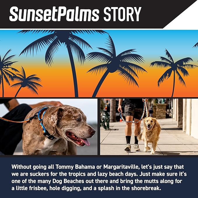 Wolfgang Heavy Duty Dog Leash, Pull-Tested to Over 800 lbs for Walking & Training, SunsetPalms Print, Large