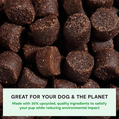 Open Farm, Be Good Bites, Soft Dog Training Treats, Small & Chewy, Made with Ethically & Sustainably Sourced Ingredients, Non-GMO Fruits & Grains, Turkey Recipe, 6oz Pouch