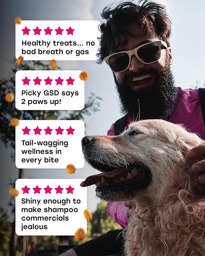 24-in-1 Daily Multivitamin Dog Chews – Joint, Skin & Coat, Digestion & Immunity Support – Glucosamine, Omega-3, Probiotics for Gut Health – PhD-Endorsed, 140 Chews, Beef Flavor