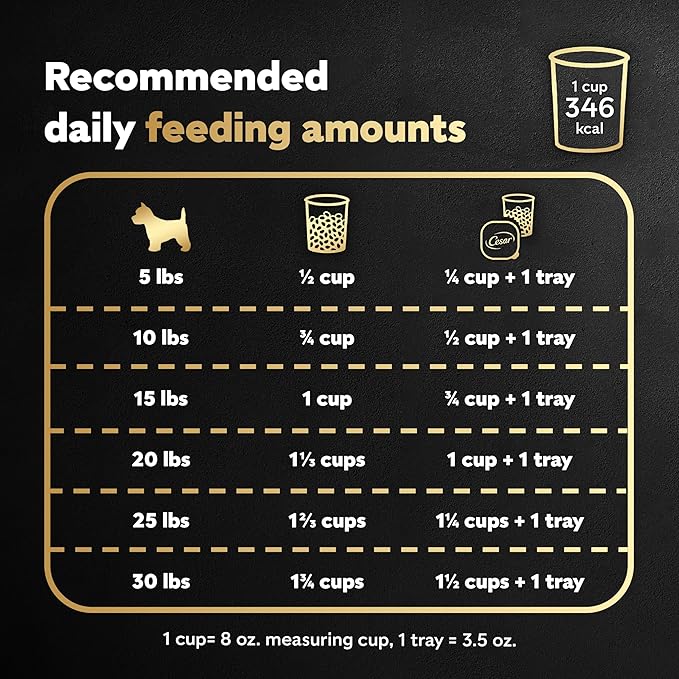 Cesar Small Breed Adult Dry Dog Food Filet Mignon Flavor with Spring Vegetables Garnish Dog Kibble, 12 lb. Bag (Pack of 2)