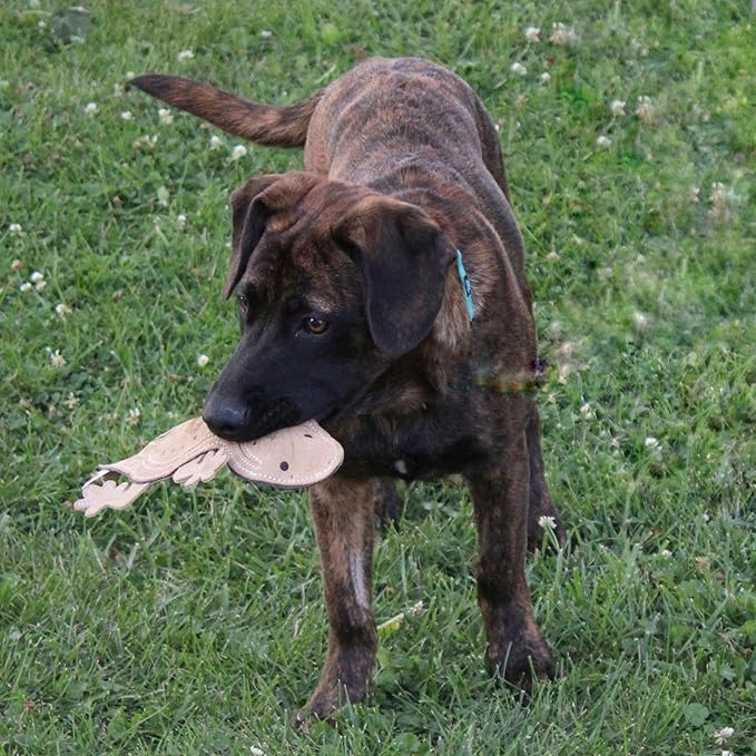SPOT Skinneeez Leather Lizard – 15" Stuffing-Free Dog Toy with Real Leather & 2 Squeakers, Chew & Toss Toy for Small & Medium Dogs, Best for Light to Moderate Chewers