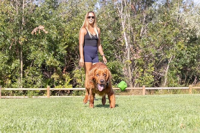 Chuckit! Erratic Dog Ball Interactive Toy For Dogs, Unpredictable Bounces, Small 2" For Small Breeds and Puppies, Pack of 2