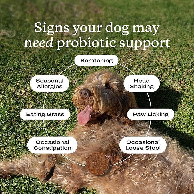 PetLab Co. Probiotics for Dogs, Support Gut Health, Occasional Diarrhea, Digestive Health & Seasonal Allergies - Pork Flavor - 30 Soft Chews - Packaging May Vary (Value 3-Pack)