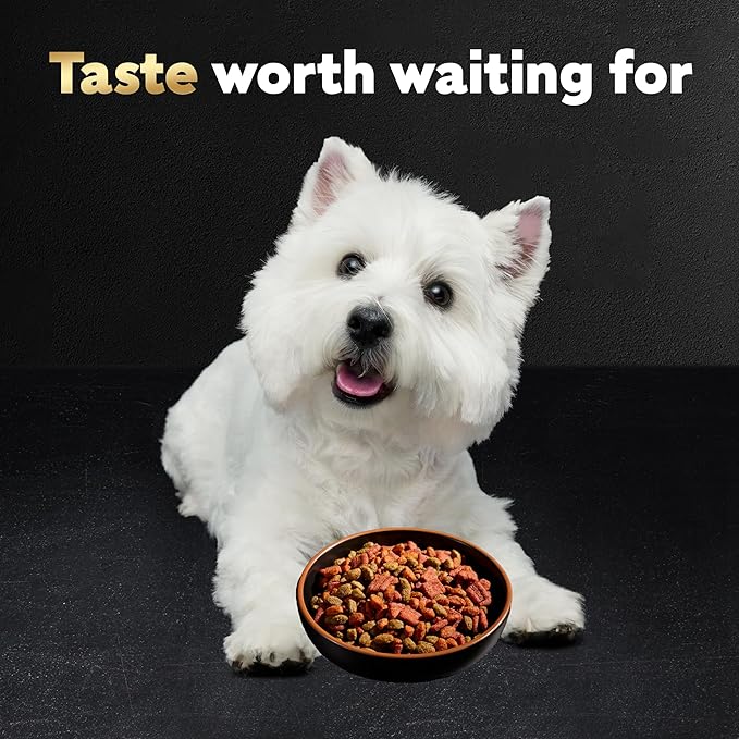 Cesar Small Breed Dry Dog Food for Small Dogs, Filet Mignon Flavor and Spring Vegetables Garnish, 12 lb Bag