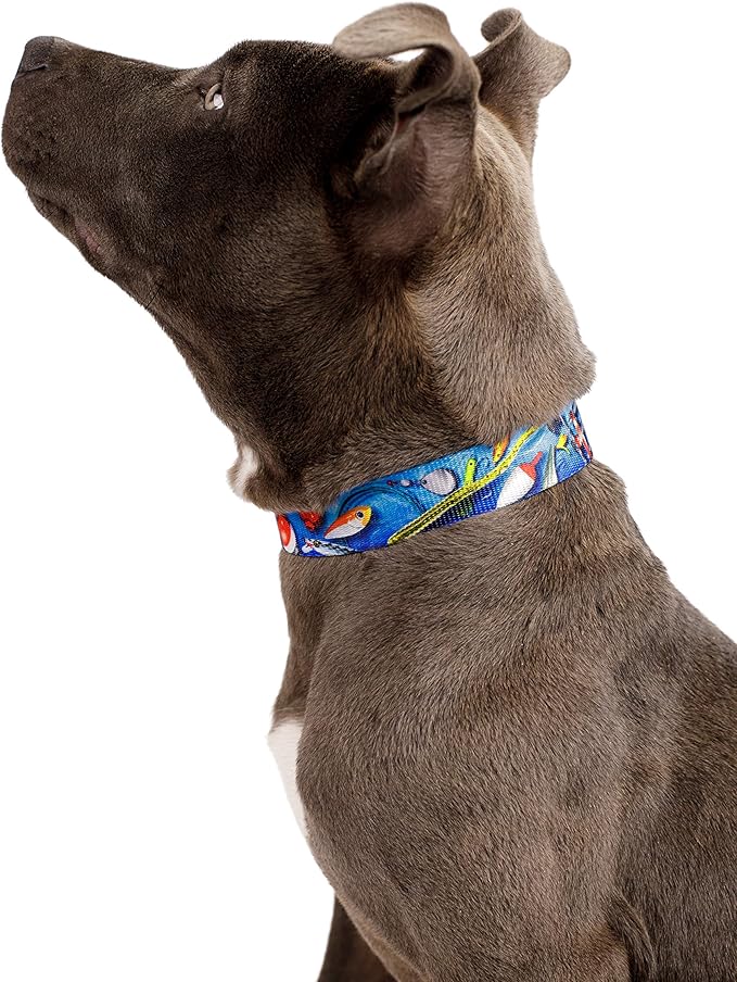 Country Brook Petz - Gone Fishin' Everyday Dog Collar and Leash - Sports and Athletics Collection Featuring Spirited Designs (5/8 Inch, Small)
