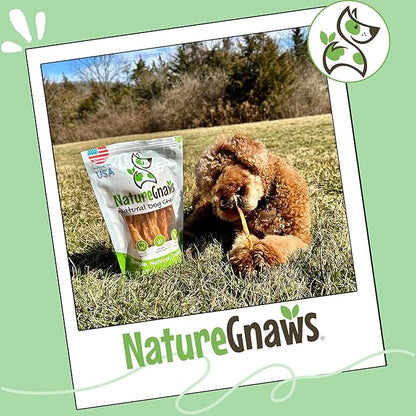 Nature Gnaws USA Turkey Tendons for Dogs (4oz) - Delicious Grain Free Reward Snack for Small, Medium & Large Breeds - Premium Natural Dog Chew Treats