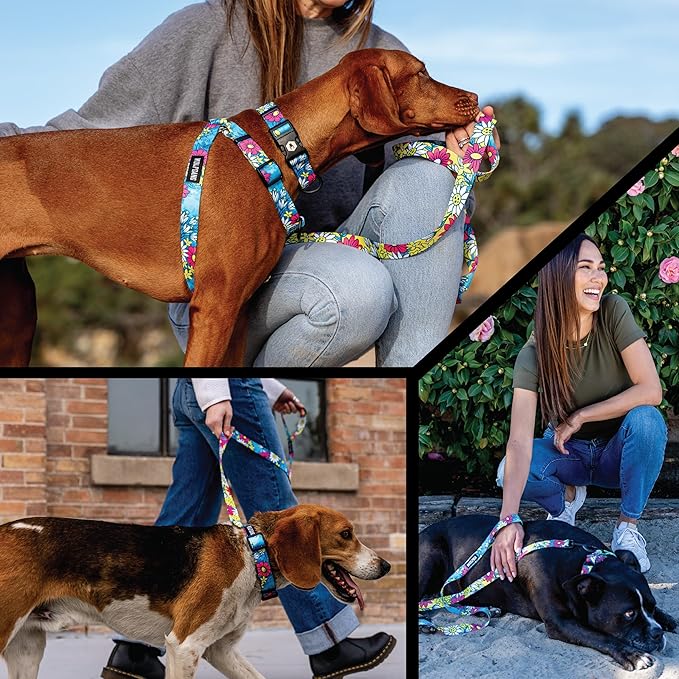 Wolfgang Heavy Duty Martingale Dog Collar with Quick Release Nylon Buckle for Walking & Training, LazyDaisy Print, Large
