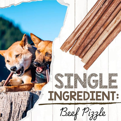 Nature Gnaws Large Bully Sticks for Dogs 11-12" (5 Count) - Thick Long Lasting for Aggressive Chewers and Large Dogs - Natural Beef Dog Chew Bones