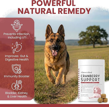 Dog UTI Treatment Cranberry Supplement for Dogs, 120 Soft Chews - Natural Urinary Tract Infection Support and Healthy Bladder Control – Made with Echinacea and Vitamin C