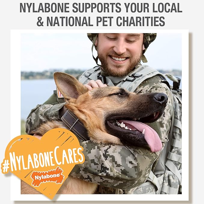 Nylabone Nubz Wild Natural Dog Chew Treats for Small Dogs, Long Lasting Dog Chew Bones Made in USA, Bison Flavor, for Dogs Up to 25 lbs. (4 Count)