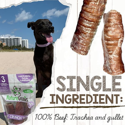 Nature Gnaws Beef Trachea Crunch Wraps for Dogs (3 Count) - Long Lasting Natural Beef Jerky Dog Chew Bones - Rawhide Free