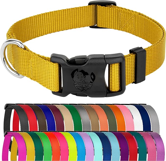 Country Brook Petz - Everyday Nylon Dog Collar for Large, Medium, and Small Dogs and Puppies - for Everyday Use in 10+ Warm Colors (Extra Large, 1 Inch Wide, Gold)