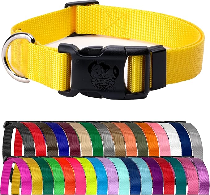 Country Brook Petz - Everyday Nylon Dog Collar for Large, Medium, and Small Dogs and Puppies - for Everyday Use in 15+ Cool Colors (Extra Small, 3/8 Inch Wide, Yellow)
