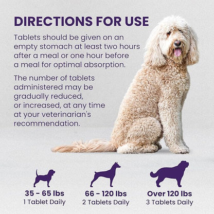 Nutramax Denamarin Liver Health Supplement for Large Dogs - with S-Adenosylmethionine (Same) and Silybin,30Count,(Pack of 2)